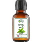 Bitki Diyarı Nane Yağı Doğal 20ML - 1 Adet