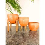 BİTKİ TASARIMI EV DEKORASYON NAKIŞ DESENLİ TERRAKOTA TOPRAK SAKSI SAKSILIK SALON ÇİÇEKLİK ÜÇLÜ SET - 15 CM