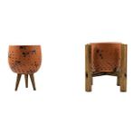 Bitki Tasarımı Ev Dekorasyon Siyah Nokta Desenli Terakota Toprak Saksı Saksılık Salon Çiçeklik İkili Set 3 Ayaklı, 4 Ayaklı 12 Cm