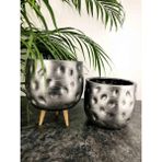 Bitki Tasarımı Gümüş Desenli Toprak Saksı Saksılık Salon Çiçeklik İkili Set Ayaksız - 3 Ayaklı- 19 CM