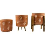 Bitki Tasarımı Kaktüs Desenli Toprak Saksı Saksılık Salon Çiçeklik Üçlü Set - 19 CM
