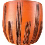 Bitki Tasarımı Siyah Çizgi Desenli Toprak Saksı Saksılık Salon Çiçeklik - 19 CM