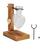 Bitki Terrarium Şeffaf Bitki Teraryum Ahşap Stand, Masa Üstü Vazo Cam Ekici Ahşap Standlı Ahşap Stand Terraryumu Sabit çubuklu Sabit Çubuklu Terraryum