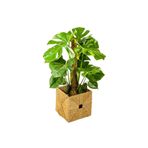 bitkicim Bitki Destek Çubuğu (YOSUN SOPASI) 100 Cm