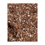 bitkicim Etobur Bitki 2 lt. Özel karışım toprak torf sphagnum peat moss organik 1.kalite max mix