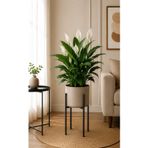 Bitkidunyam Gri Metal Ayaklı Saksı, Silindirik, Modern Tasarım, 40x21 CM No:10