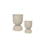 BitkiKapında Açelya Krem Metal Saksı 25 cm ağız çapı x 40 cm yükseklik