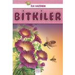 Bitkiler-İlk Hazinem - Denise Ryan