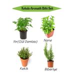 Bitkim Sende Aromatik Kokulu Mutfak Seti Itır Çiçeği+Nane+Kekik+Biberiye Fidesi 4 Adet