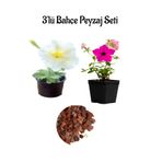 Bitkim Sende Beyaz Petunya, Pembe Petunya, Dekoratif Taş 3'lü Peyzaj Seti