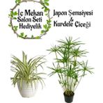 Bitkim Sende Japon Şemsiyesi (40-60CM)1 Adet Saksılı+Kurdele Çiçeği 1 Adet Saksılı Salon Seti