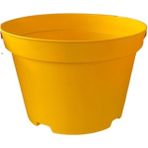 Bitkim Sende Katı Plastik Sukulent Saksısı 20 Adet Sarı (8.5 Cm)