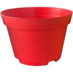 Bitkim Sende Katı Plastik Sukulent Saksısı 5 Adet Kırmızı (8.5 Cm)