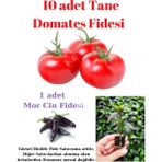 Bitkim Sende Oturak Tane Domates Fidesi Yerli Tohum 10 Adet, Mor Cin Biber Fidesi 1 Adet