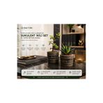BitkiTÜRK Portulacaria Afra & Haworthia Sukulent İkili Set Beton Saksılı Masa ve Ofis Bitkisi |