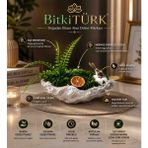 BitkiTÜRK 🌿 Yapay Aşk Merdiveni ve Stabilize Yosun Dekoru Hediyeli Dekoratif Saksı – Masaüstü Yapay Bitki Dekoru, Ev ve Ofis Dekorasyonu, Hediyelik Ürün