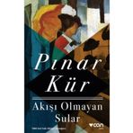 BITMEYEN AŞK - PINAR KÜR