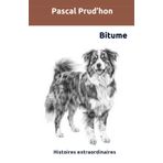 Bitume