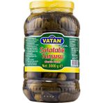Bizim Vatan 3 kg Salatalık Turşusu