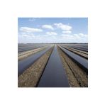 Bizim Yok Yok Uv Katkılı (DELİKLİ) 25 Metre Çilek Naylonu-malç Naylonu Eni:130cm 100 Micron