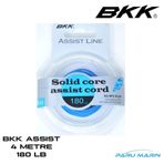 Bkk Solid Core Assist Cord 180 Lb 4 mt İp