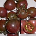 Black Cherry Tohumu