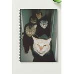 Black-One Kedi Grubu A5 Metal Spiralli Çizgisiz kalın bristol Kapak ÖZEL TASARIM TEMALI A5 DEFTER