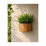 BLACK PEARL Ahşap Duvar saksısı bambu saksı