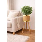 Black Pearl Bambu Ahşap Ayaklı Saksı Gold - 22,5x22,5 cm - Ahşap - Altın