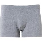 Blackspade 9313 Silver Gri Melanj Erkek Boxer