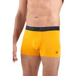 Blackspade 9555 Hardal-Sarı Erkek Boxer