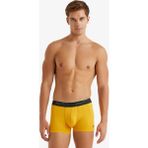 Blackspade Erkek Pamuk Elastan Boxer 9555 - Sarı