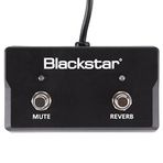 Blackstar Fs17 - 2 Sonnet Footcontroller