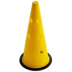 Blake 42 Cm Büyük Boy Delikli Sarı Antrenman Hunisi