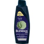 Blendax Erkek Kepeğe Karşı Etkili Şampuan 500 ml 5 Adet