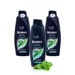 Blendax Erkek Mentol Ferahlığı 3x500 ml Şampuan
