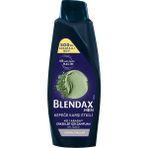 Blendax Erkek Şampuan 500 ml