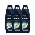 Blendax Erkekler İçin Kepeğe Karşı Etkili 3x500 ml Şampuan