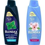Blendax Erkekler Için Mentol Ferahlığı Nane Özlü Şampuan, 500 Ml Blendax Anında Parlaklık Yumuşaklık Kiraz Çiçeği Özlü Şampuan, 500 Ml