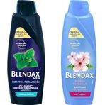 Blendax Erkekler için Mentol Ferahlığı Nane Özlü Şampuan, 500 ml ve Blendax Anında Parlaklık ve Yumuşaklık Kiraz Çiçeği Özlü Şampuan, 500 ml