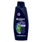 Blendax Erkekler İçin Mentollü 550 ml Şampuan