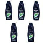 Blendax Erkekler İçin Mentollü 5x470 ml Şampuan