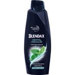 Blendax Erkekler İçin Mentollü 6x500 ml Şampuan