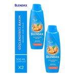 Blendax Güçlendirici Bakım Badem Yağı Özlü 2x500 ml Şampuan