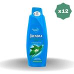 Blendax Isırgan Özlü 12x500 ml Şampuan