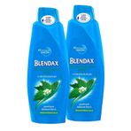 Blendax Isırgan Özlü 2x500 ml Şampuan