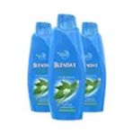 Blendax Isırgan Özlü 3x470 ml Şampuan