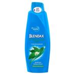 Blendax Isırgan Özlü 500 ml Şampuan