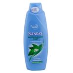 Blendax Isırgan Özlü 550 ml Şampuan