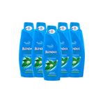 Blendax Isırgan Özlü 5x500 ml Şampuan